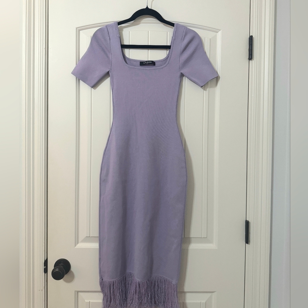 Anthropologie CAARA Purple Dress With Feather Trim Size S NWT